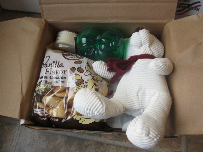 Pooch Perks subscription box for dogs