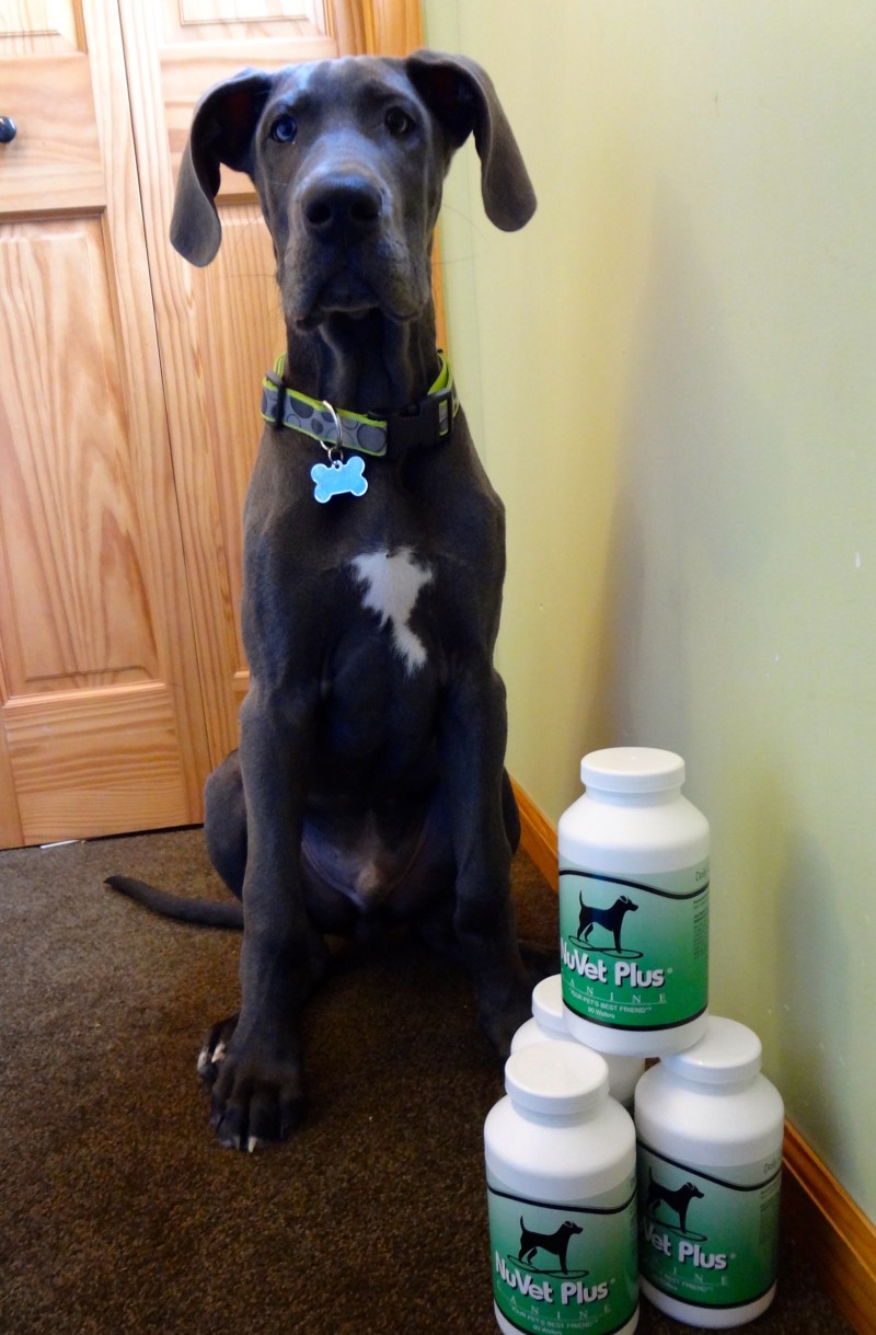 NuVet Plus Pet Supplements