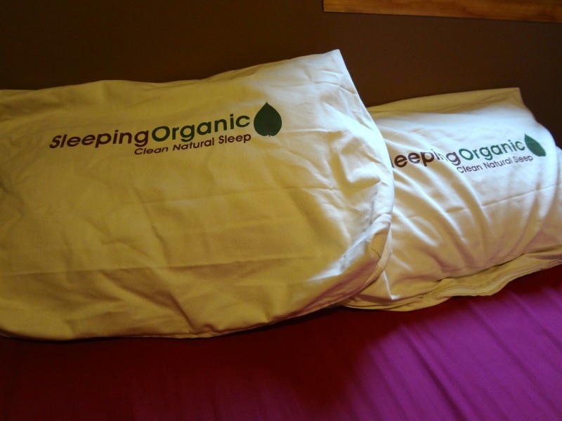 Sleeping organic Shredded latex pillow