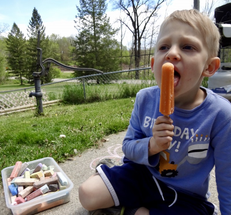 Ruby Rockets Fruit and Veggie popsicles