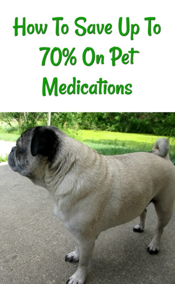 How To Save Money On Dog Medication Emily Reviews
