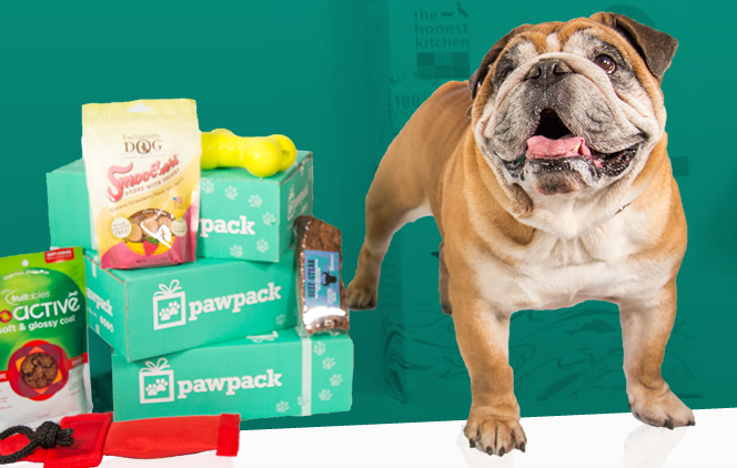 The Gift Box Company ~ PawPack Review & Discount Code - Give yourself and your loved ones a monthly gift of the best products for every part of your life. Explore new interests, indulge your passions, and share the fun with all the your four legged and two legged friends. {Emily Reviews}