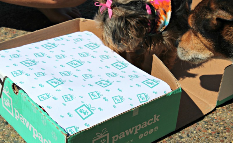 PawPack Dog Subscription Box