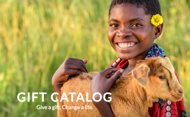 World Vision Gift Catalog