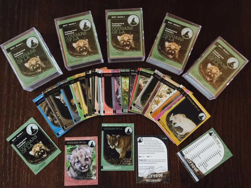 National Wildlife Federataion’s Cougar Trading Card Collection