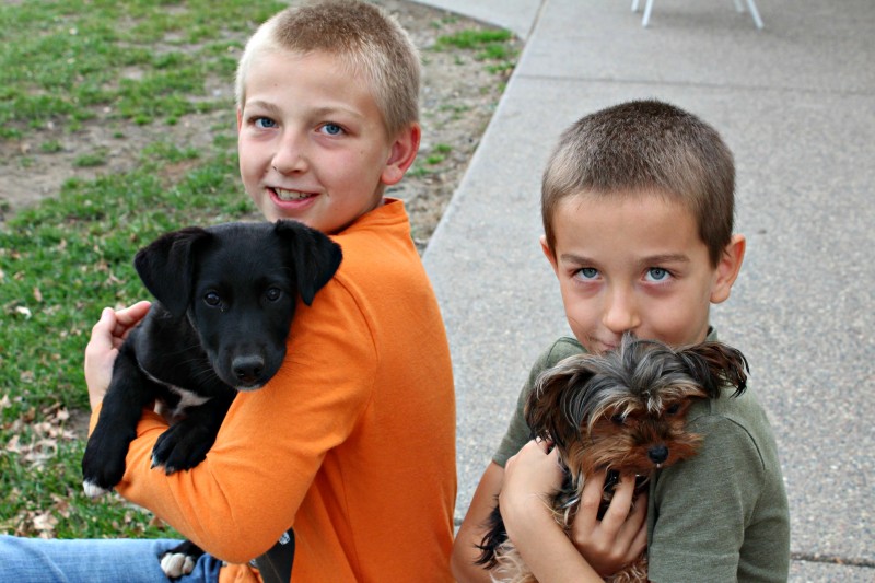 Happy Howl-O-Ween With PetGiftBox!