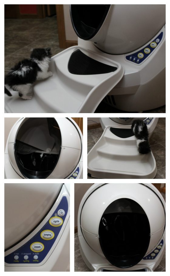 LitterRobot III Open Air Automatic SelfCleaning Litter Box