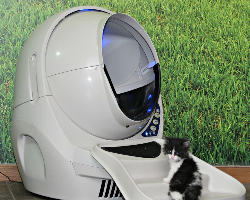 best litter for litter robot open air