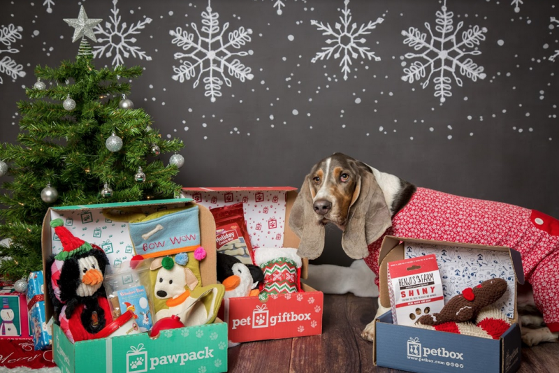 PetGiftBox Pet Subscription Box for dogs and cats.