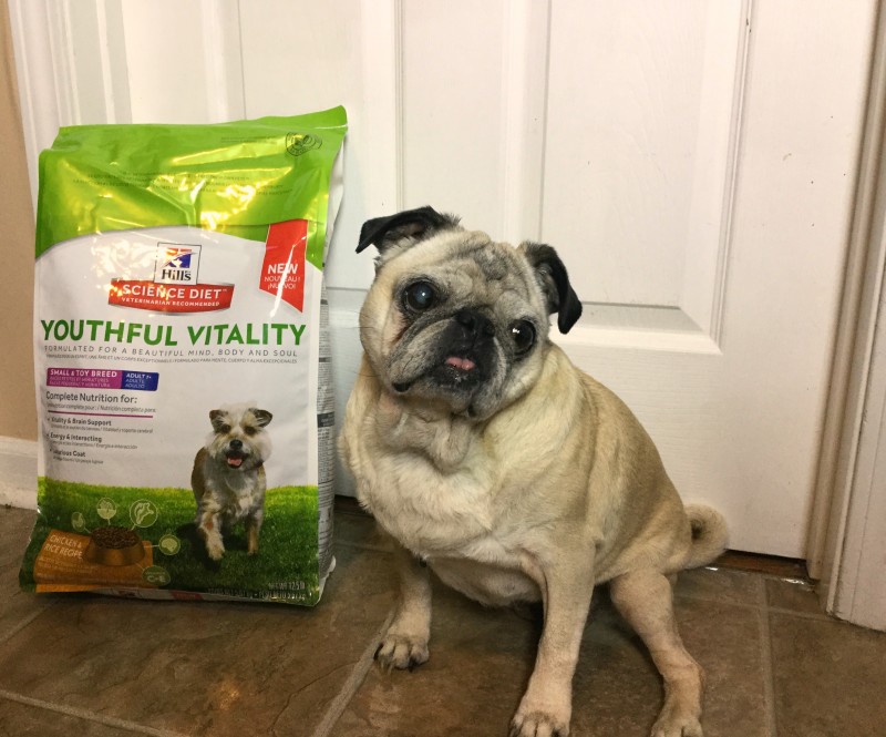 Hill's science diet natural vitality toy small dogs