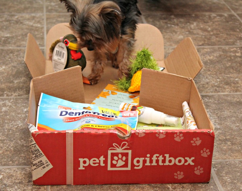 Pet Gift Box Montly Subscription Box