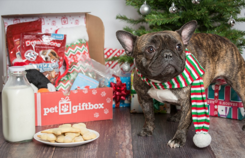 PetGiftBox Pet Subscription Box for dogs and cats.