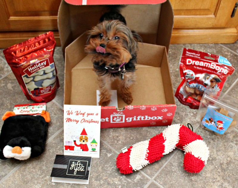 Pet Gift Box Montly Subscription Box