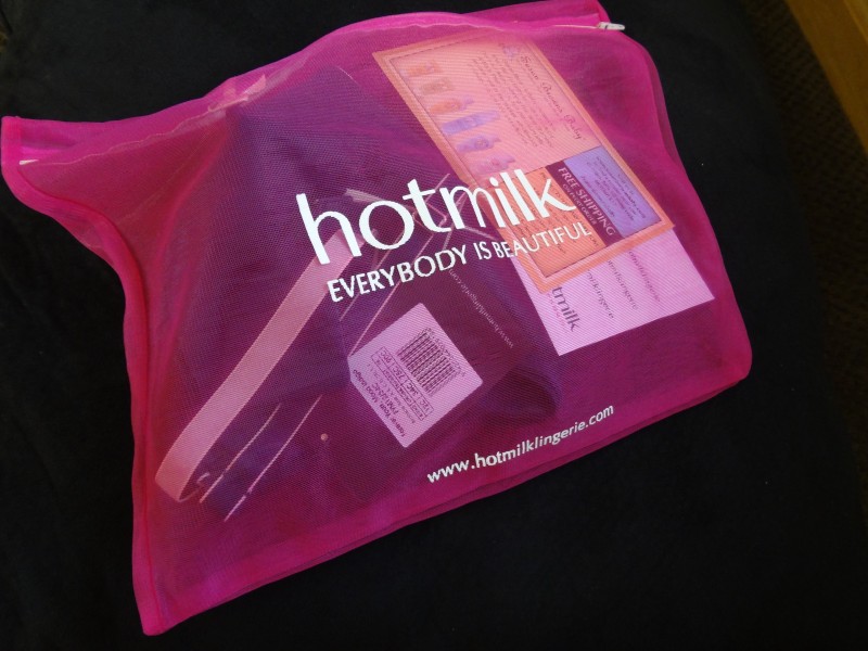 HotMilk Nursing bra review 