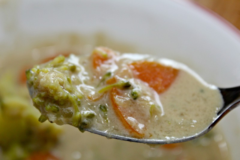 Dairy Free, Gluten Free Broccoli Cheese Soup Recipe | Emily Reviews