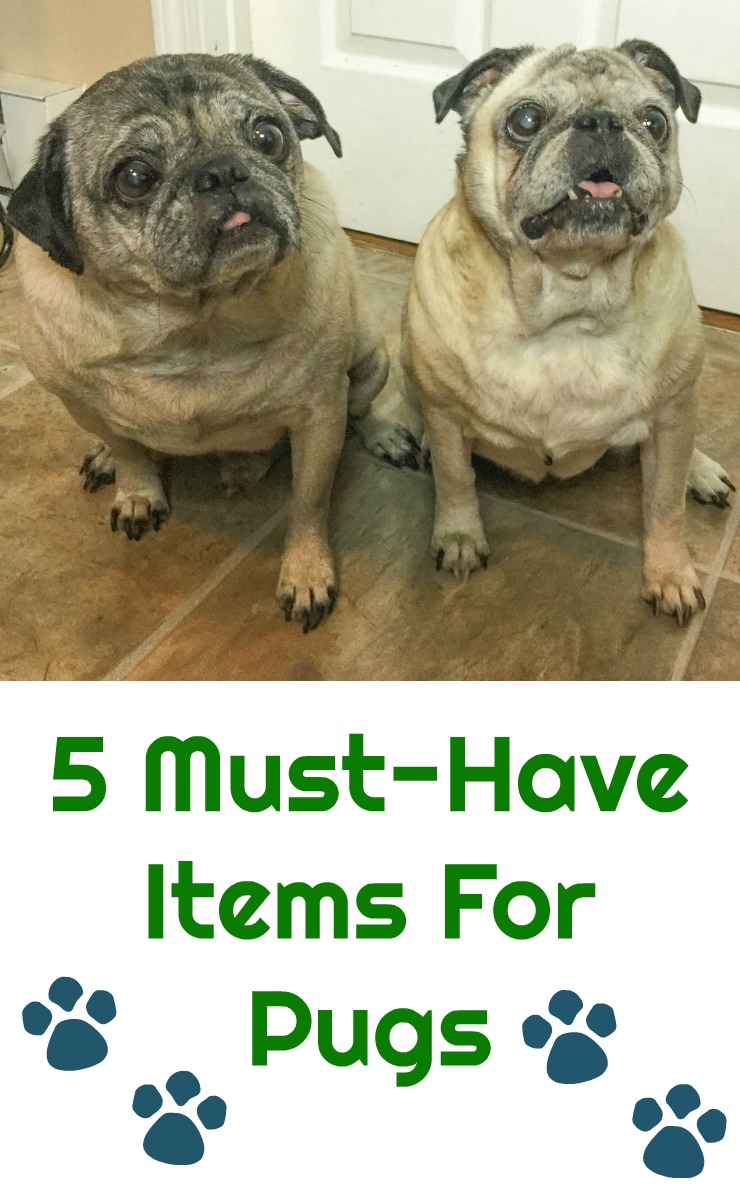 must have items for pugs or pug owners