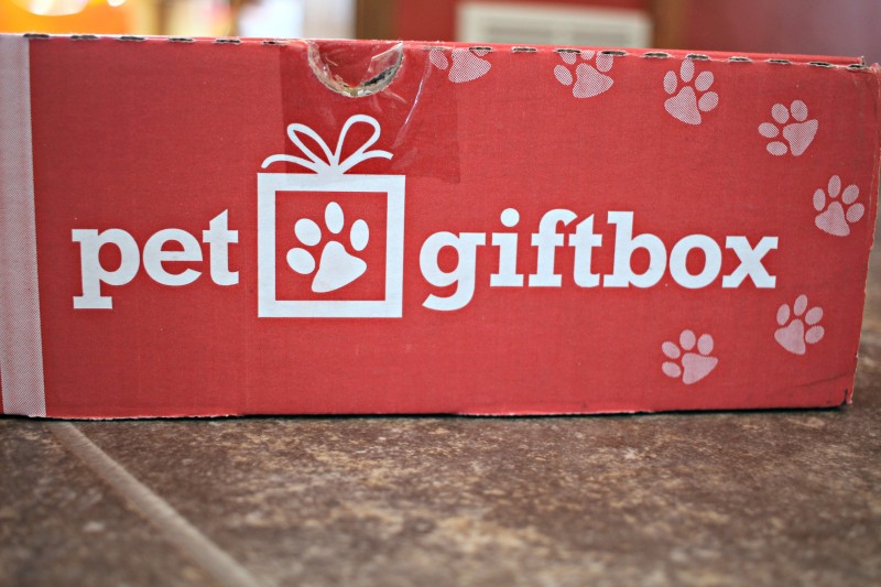 Pet Gift Box Discount {Mail For Your Furry Family Member}