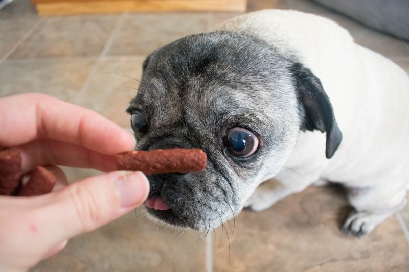 Pup-peroni minis original beef flavor for pugs