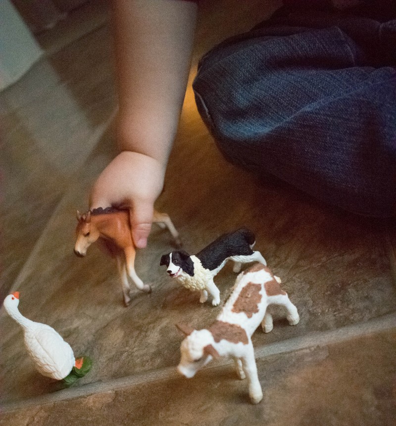 Schleich farm animal toys