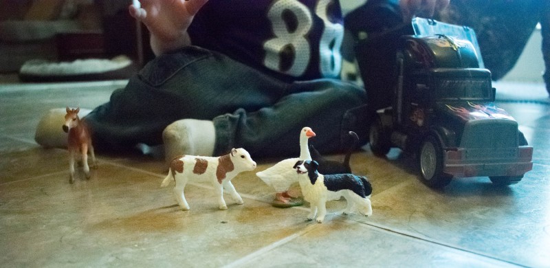 Schleich animal toys