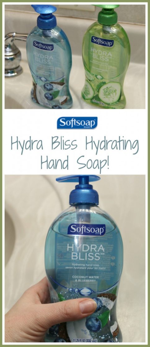 A Day In The Life Of Our Family {With Softsoap Hydra Bliss Hydrating Hand Soap}