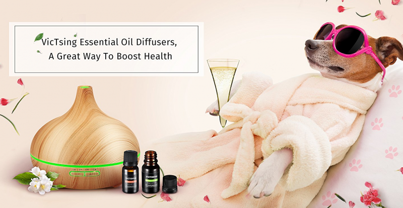 VicTsing Essential Oils & Diffusers