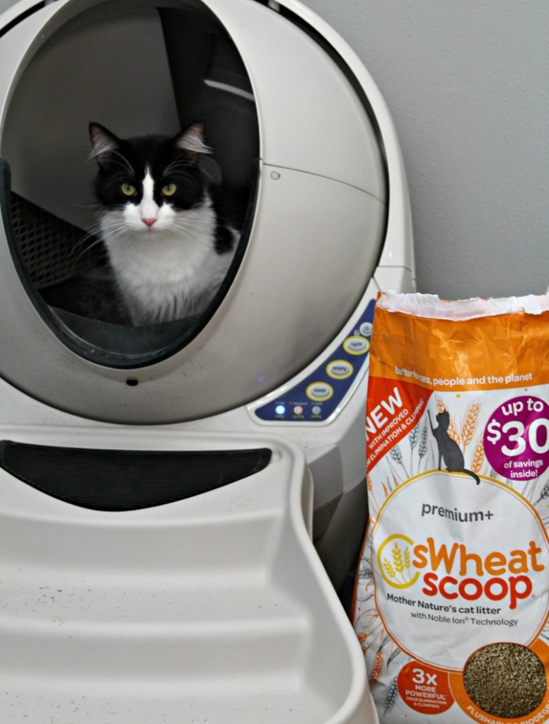 sWheat Scoop Premium+ Natural Clumping Wheat Cat Litter From