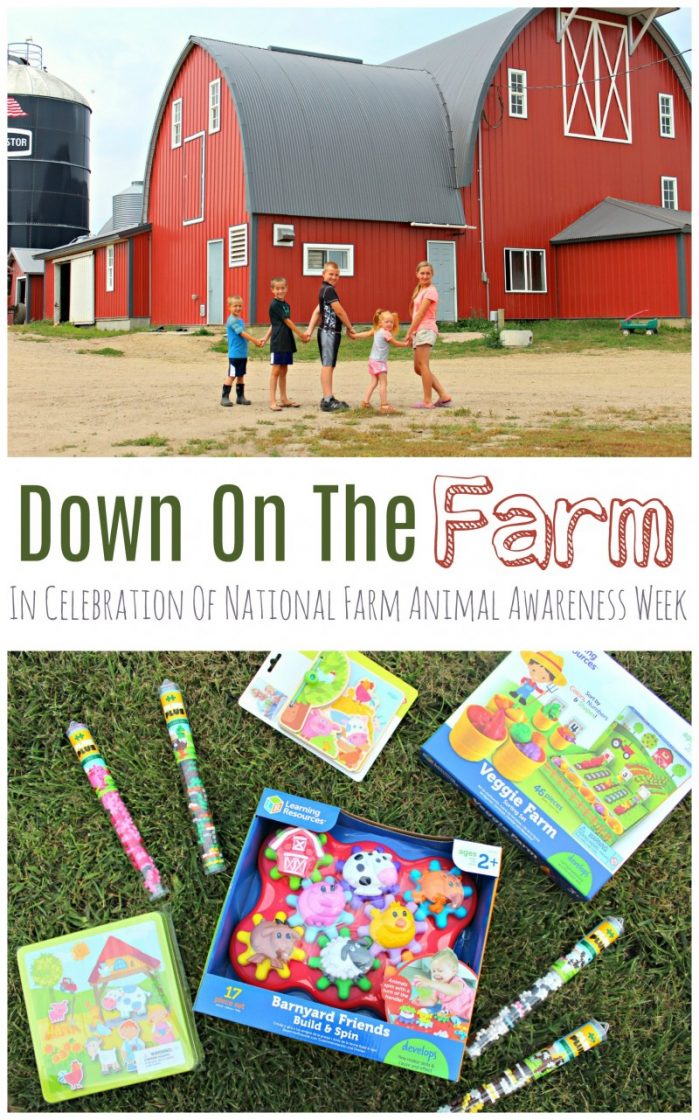 Down On The Farm {+ Fun Farm Toys!}
