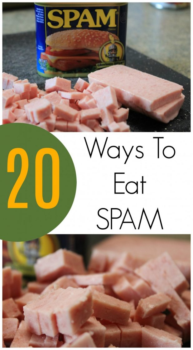 20 Ways To Eat SPAM Meat