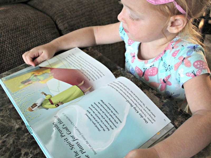 Spirit of God Illustrated Bible {Review}