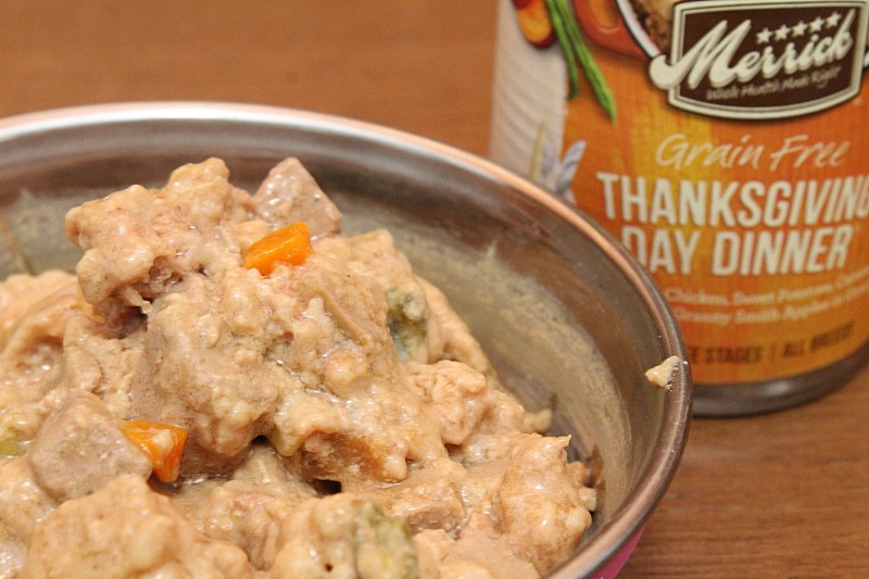 Chewy.com ~ Merrick Grain-Free Thanksgiving Day Dinner Canned Dog Food