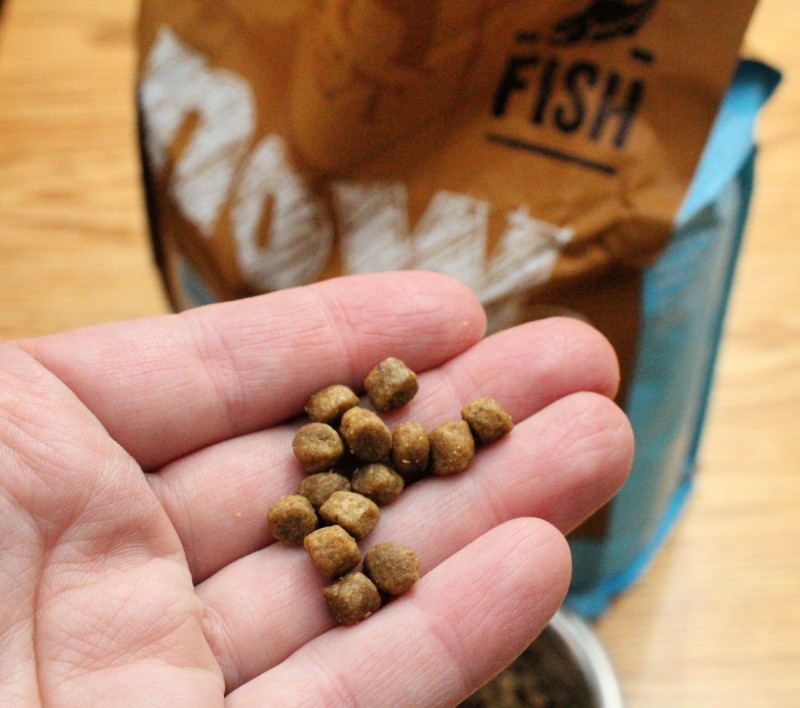 Now Fresh Grain-Free Adult Fish Recipe Dry Cat Food From Chewy.com