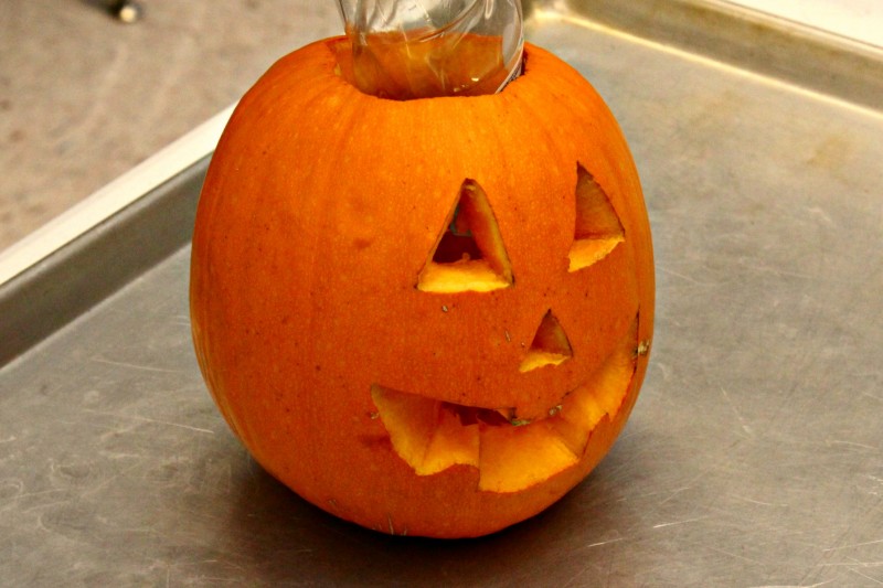 Another Use For Pumpkins - Science Experiment Pumpkin Volcano!