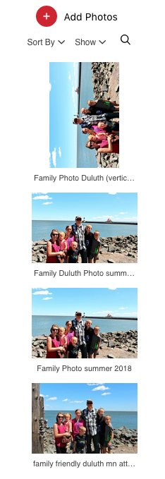 Pinhole Press Holiday Photo Cards For Christmas