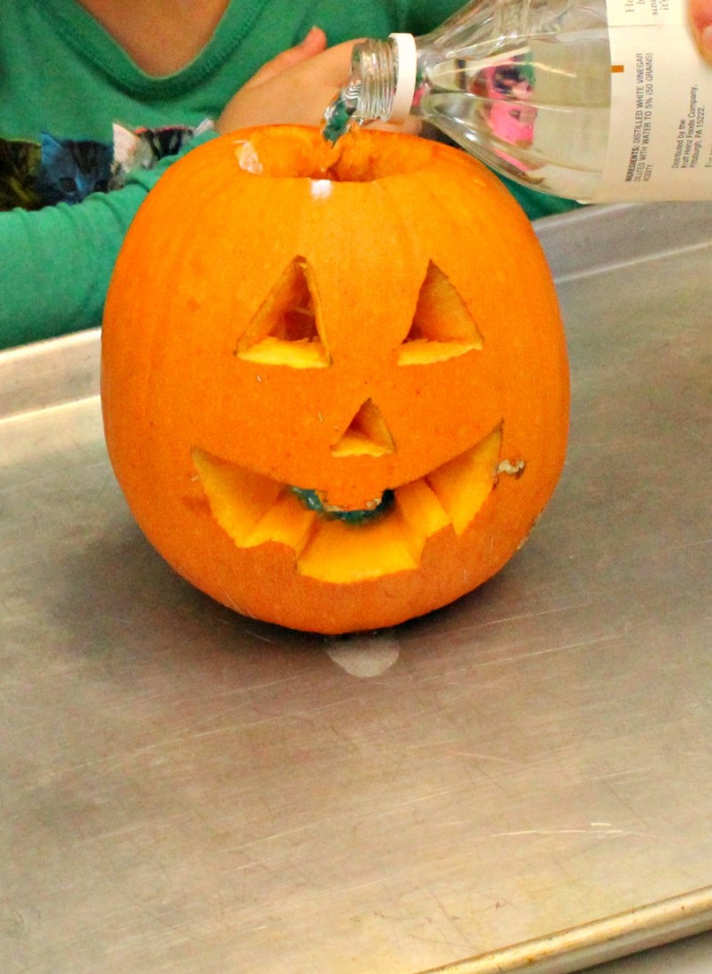 Another Use For Pumpkins - Science Experiment Pumpkin Volcano!