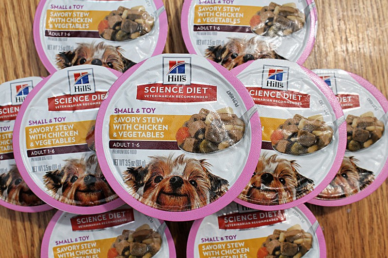 chewy science diet