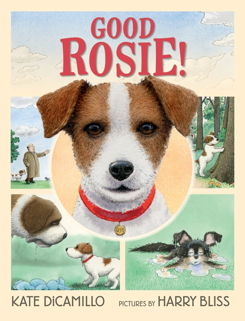 Candlewick Press Good Rosie! author: Kate DiCamillo illustrator: Harry Bliss