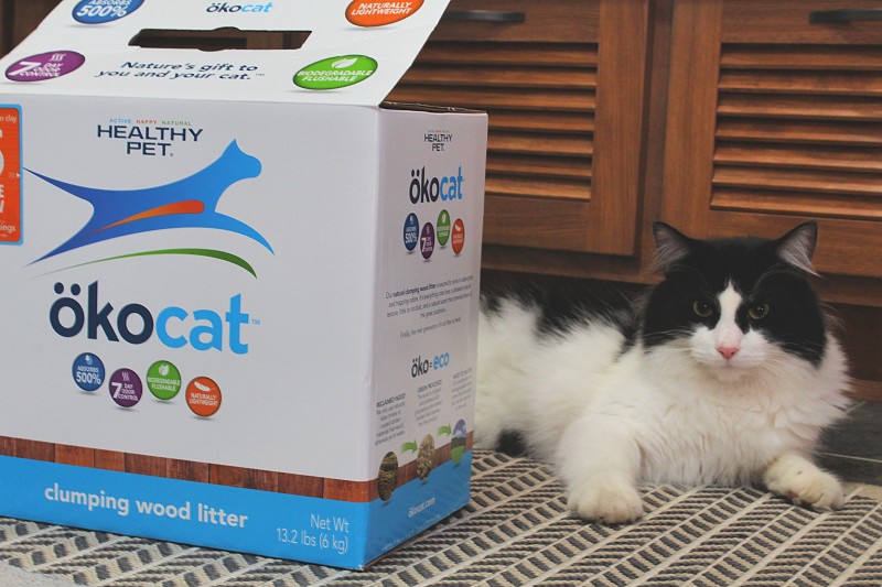 okocat Natural Cat Litter