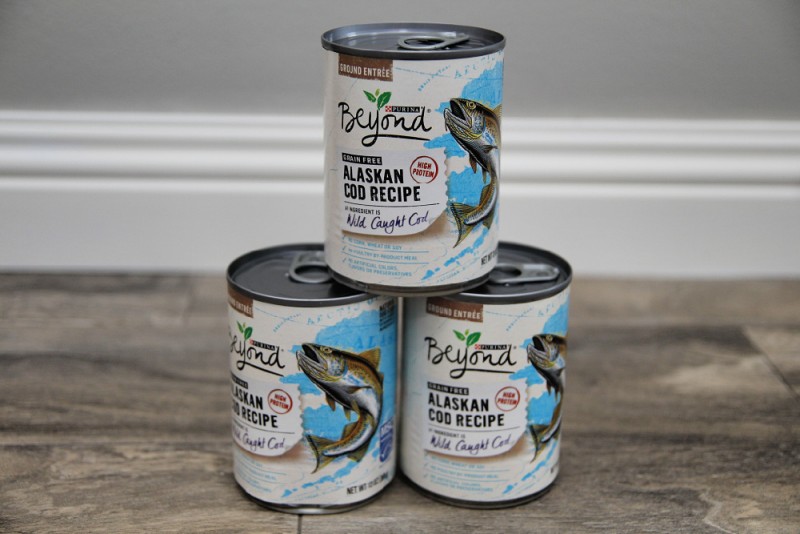 Chewy Purina Beyond Alaskan Cod Recipe Emily Reviews