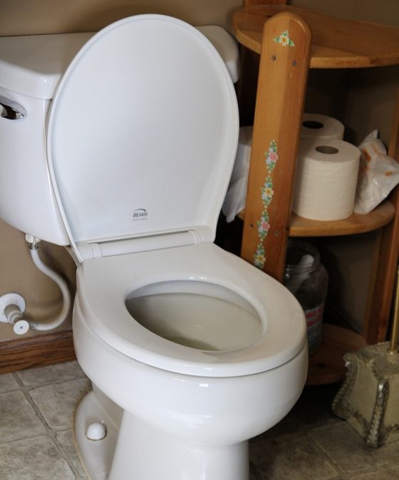 Clean the Most Important Seat In The House Without The Mess Or Stress