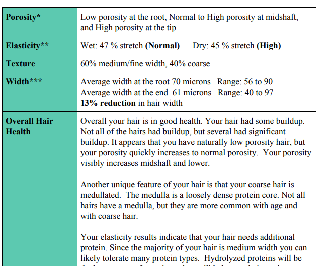 My mane bio hair analysis review