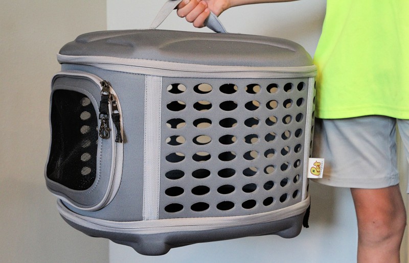 Pet magasin collapsible online carrier