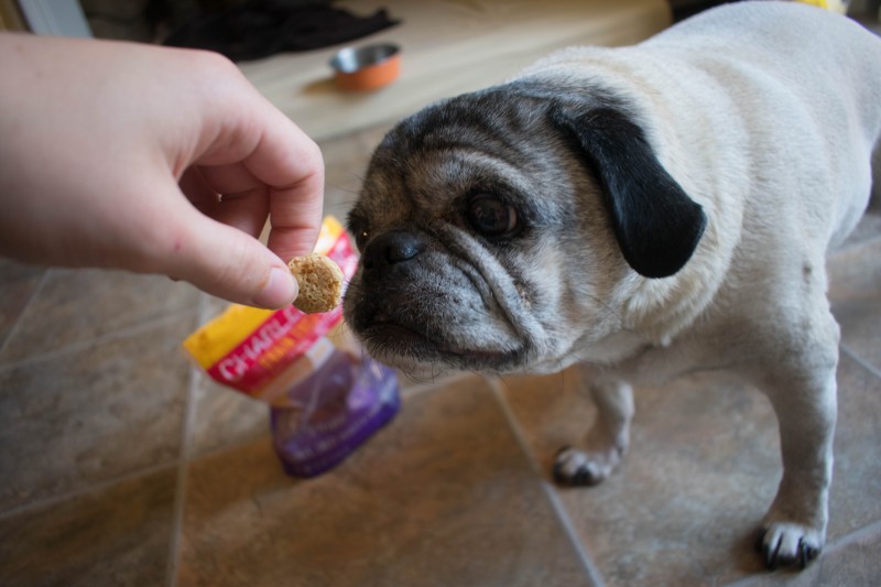 Charlee Bear Grain free crunch treats