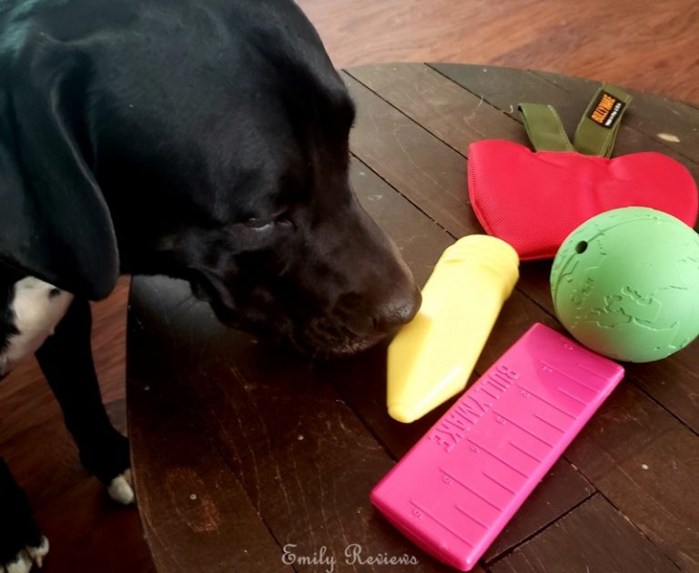 Bullymake Box Is Perfect For Power Chewing Dogs Review Emily Reviews