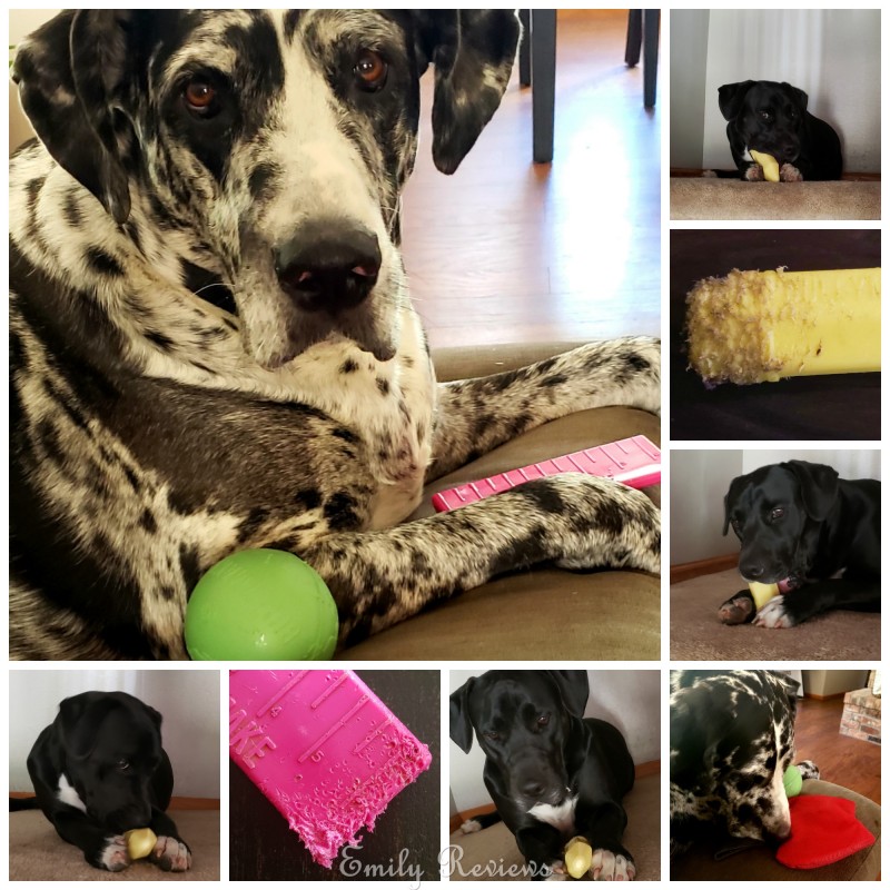 bullymake dog toys