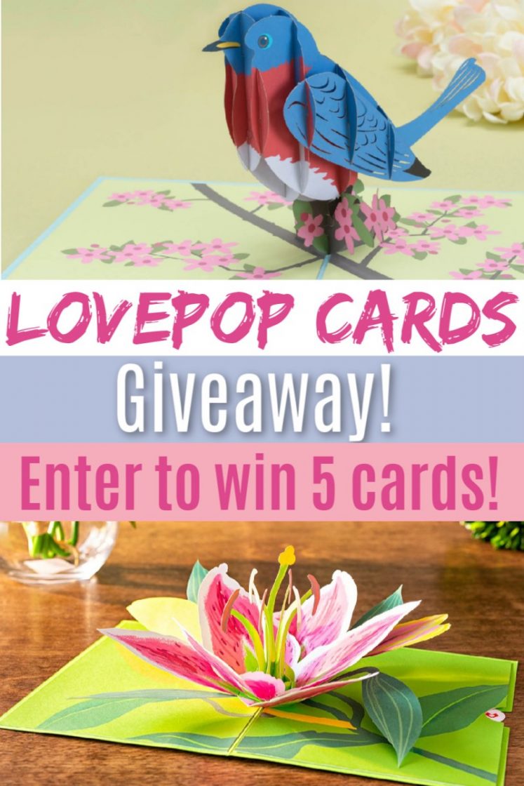 Say It With A Pop! Stock Up On Lovepop Cards Now To Help You Celebrate All Year Giveaway