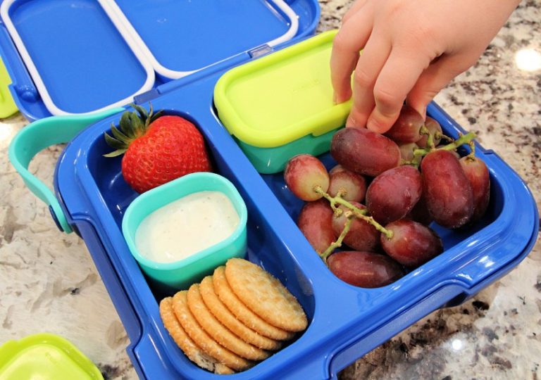 bento box with freezer pack