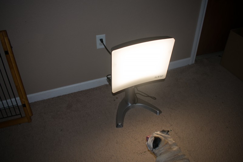 Carex light therapy lamp