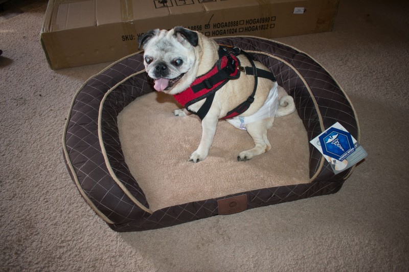 American Kennel Club Orthopedic Couch Style Pet Bed