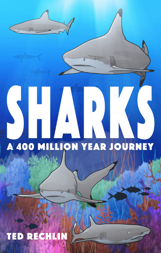 SHARKS: A 400 MILLION YEAR JOURNEY